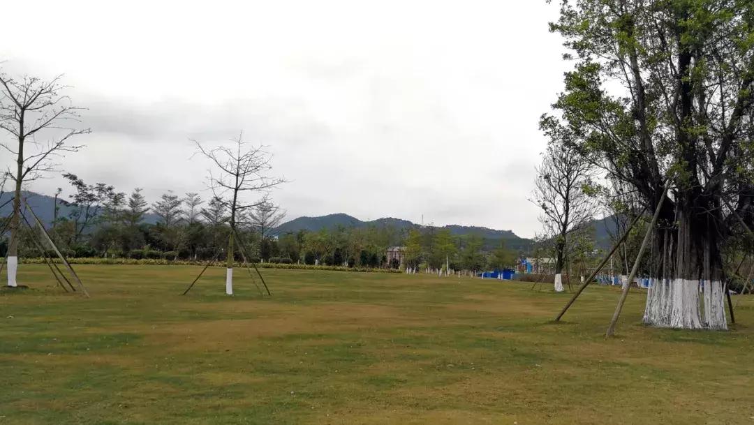 云浮高铁东站什么时候开通,高铁云浮东站