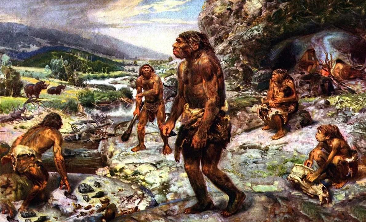 新发现：卵子会对某些人的精细胞更加偏爱，甚至可为其“开后门”