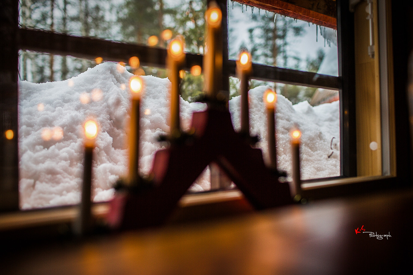 果小姐的日常,果小姐的慢生活