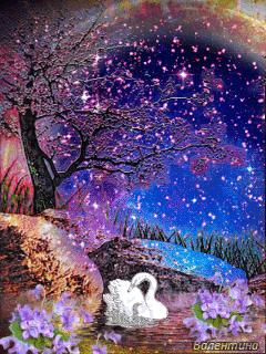 神秘的水中花,趣味神奇的水中花