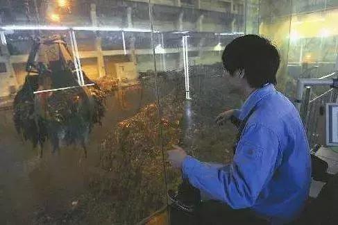 垃圾场一个月能回收多少钱呢 (靠垃圾厂发家致富)