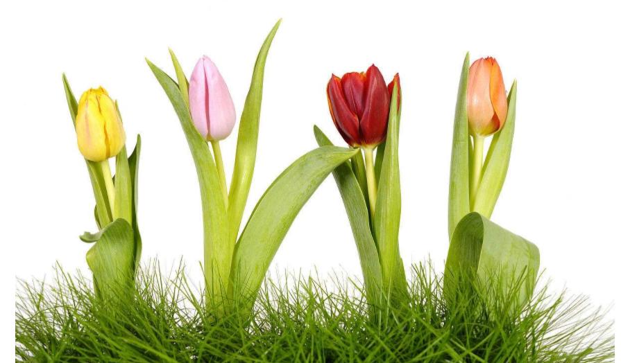 和芳sir一起学科学：如何用三种颜色画出一道彩虹？（1）