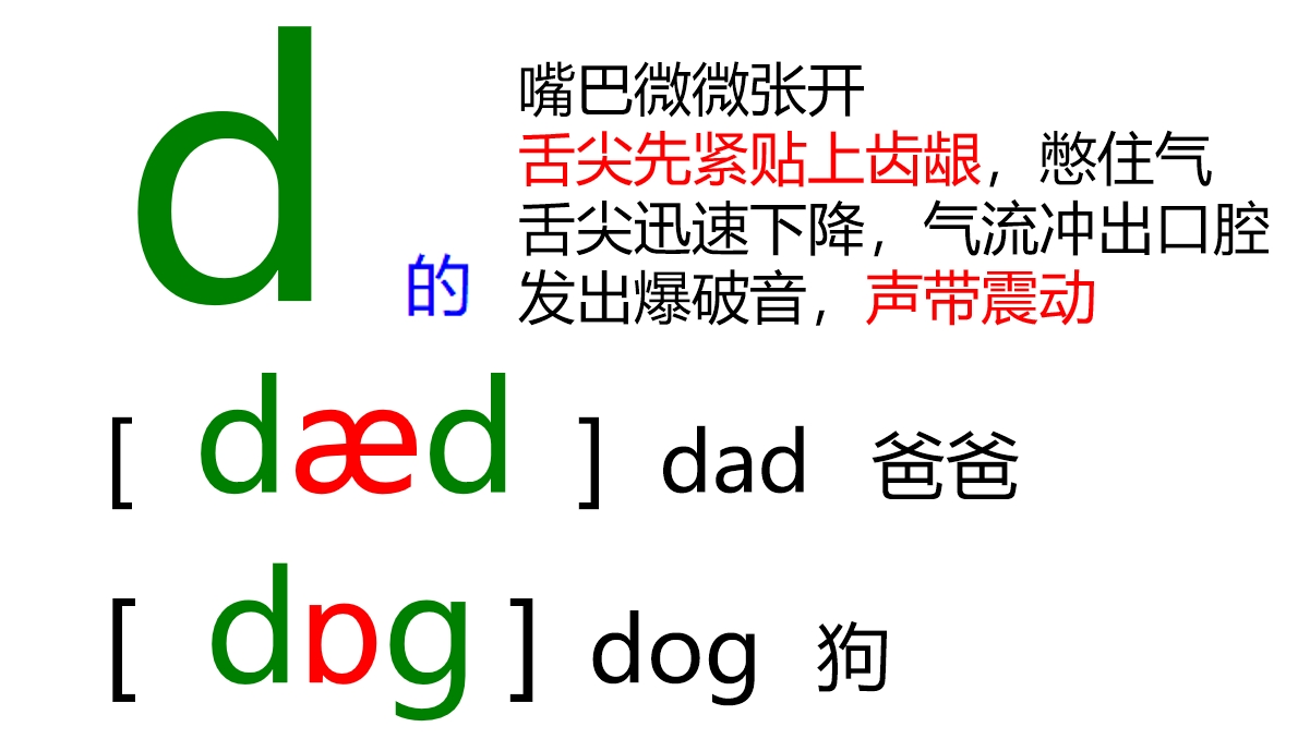 48个音标全套卡片作用,英语音标卡片48个正确发音嘴型