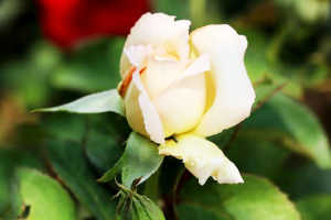 个性签名简短精辟句子大全,盘点那些精辟犀利的个性签名