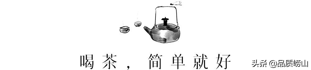 崂山茶特色,简单也许是最好的