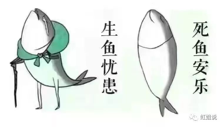 在美国生活10个月的亲身经历,在美国生活十年以上的华裔感想