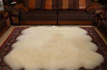 奥克兰留学视频,如何去奥克兰留学