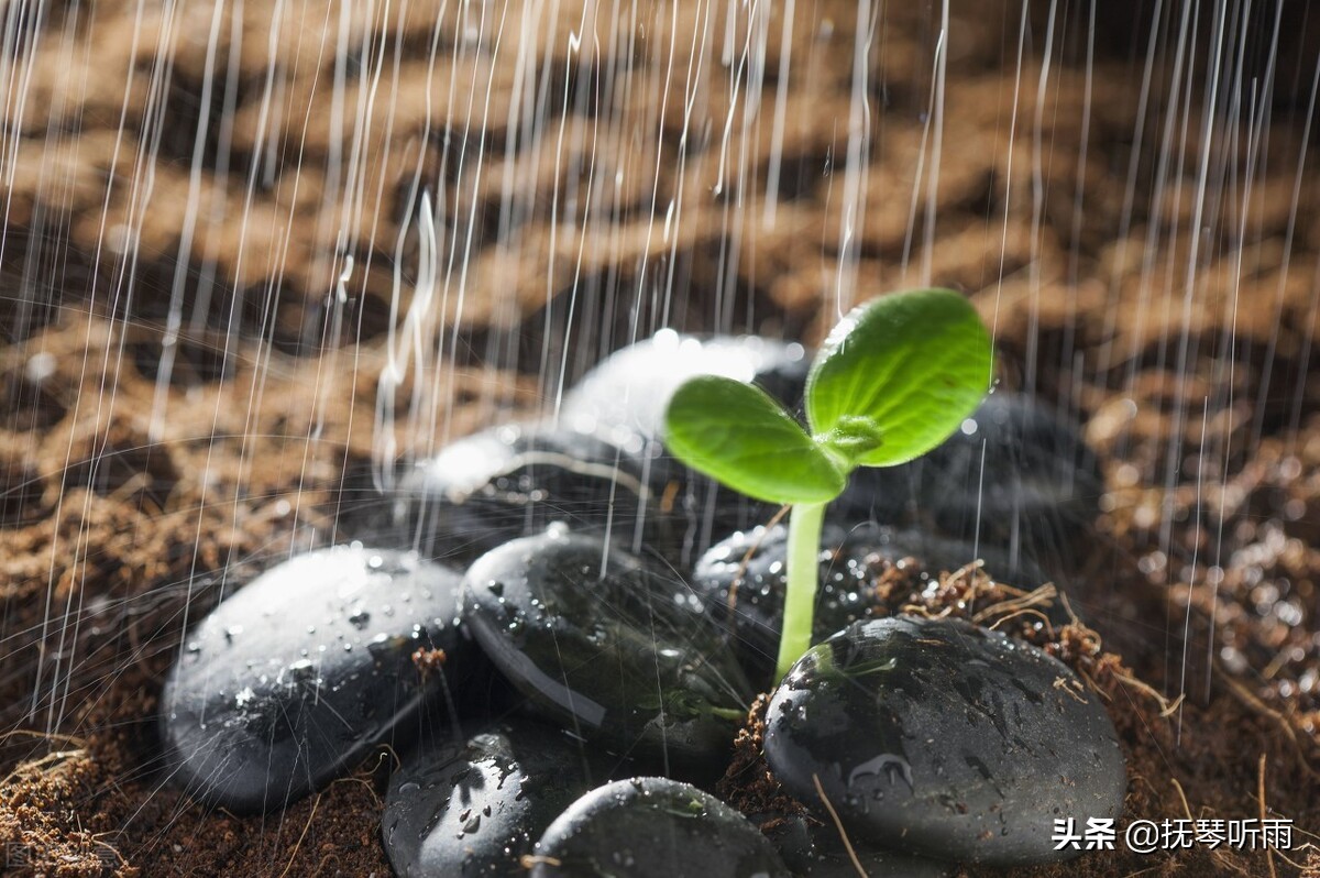 博观而约取厚积而薄发的意思,博观而约取厚积而薄发意思及道理