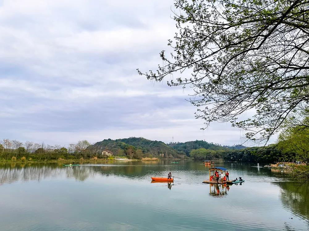 【谁不说咱家乡美】美丽中国，“乡”约万安（河西片）