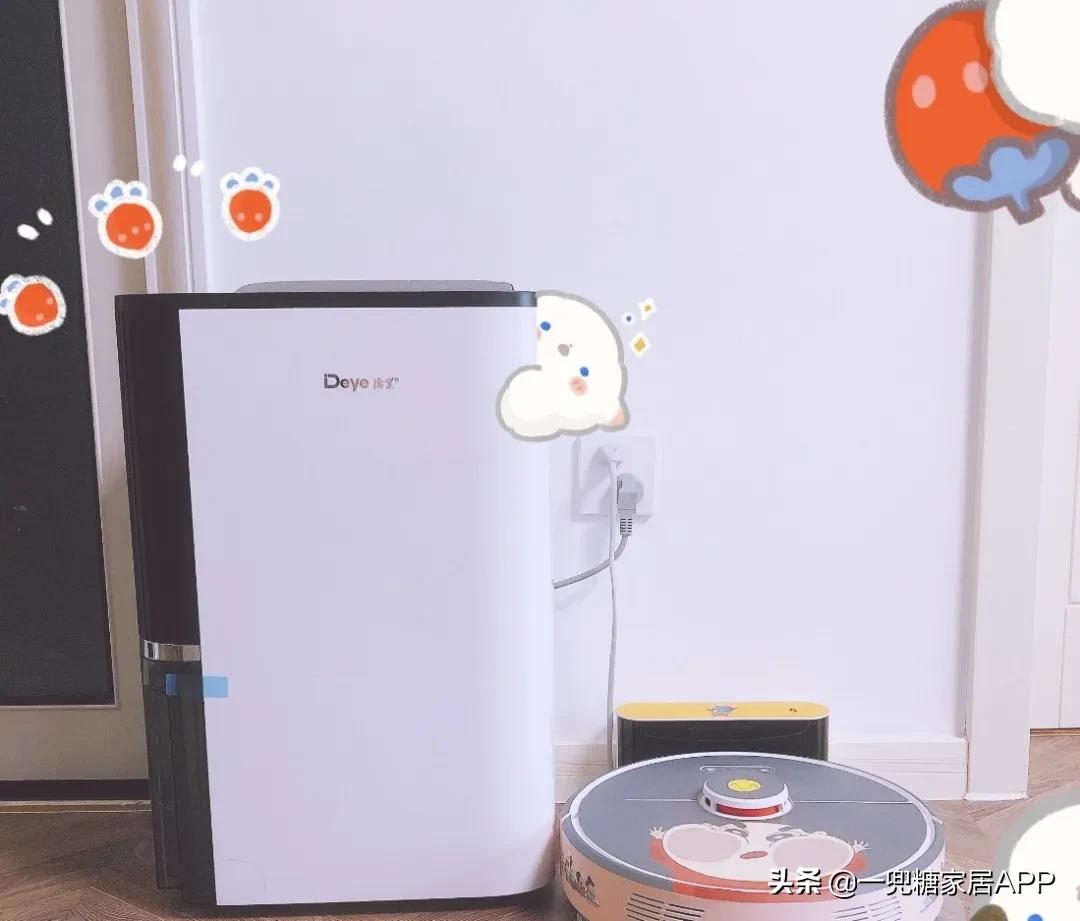 躲避回南天如何装修,南方回南天用什么除湿机