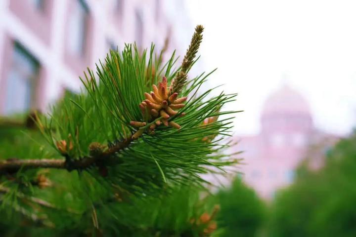 鞍山要闻快报,鞍山新闻今日实时头条
