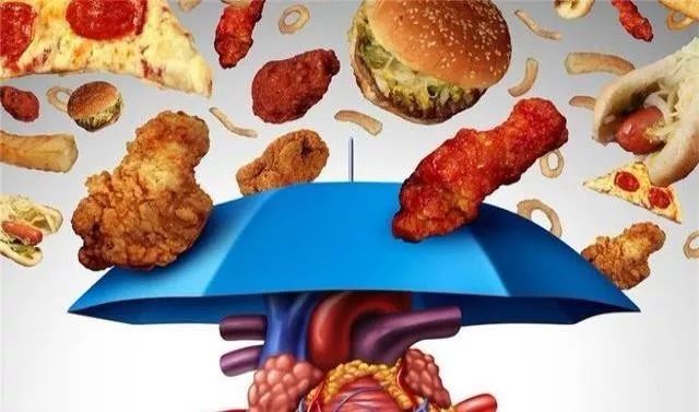 健康解密新陈代谢,日本健康促进法