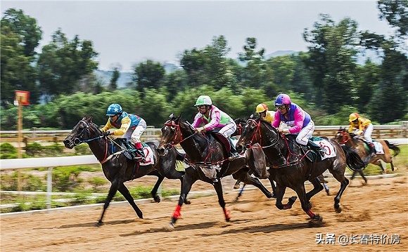 踏马滇池？百万名马乘骑等你来体验
