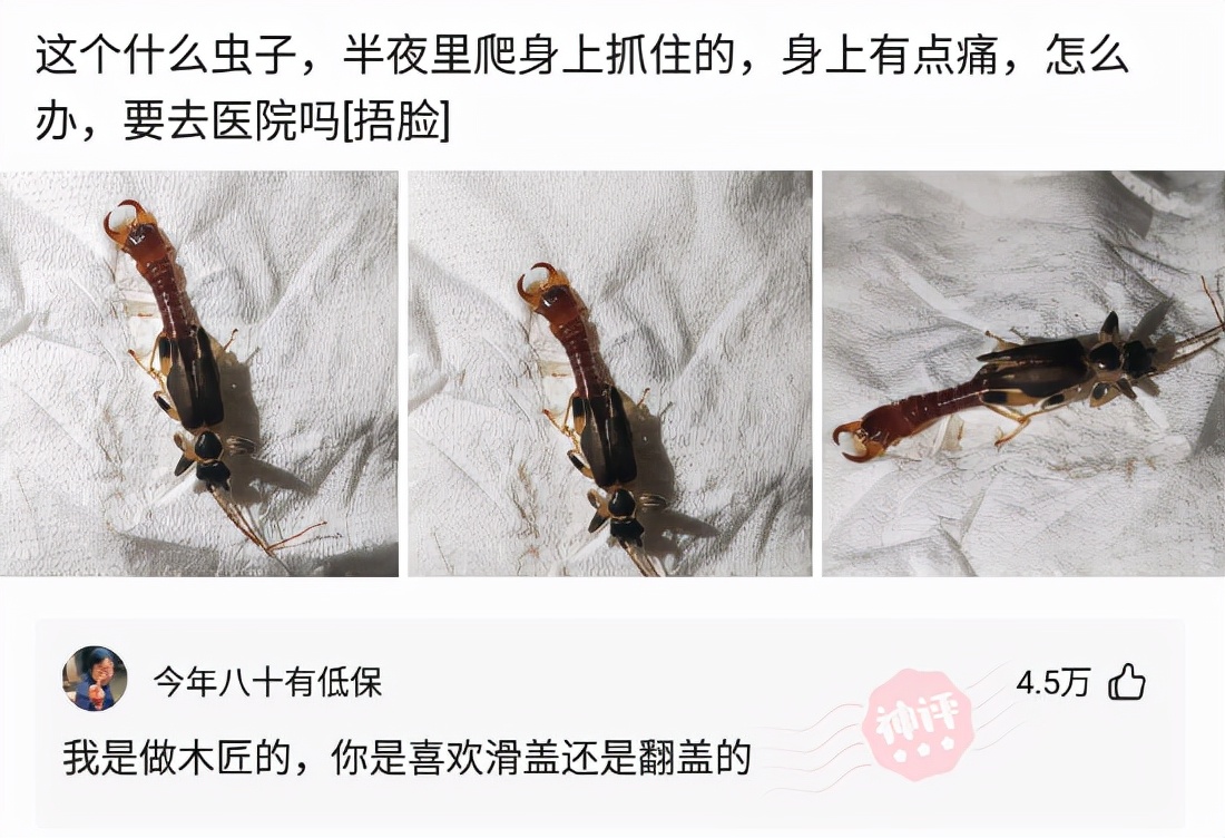 神回复女友信息,神回复女朋友