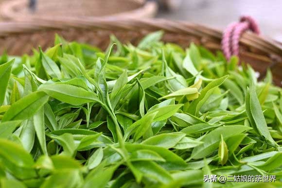 兴宁单枞和凤凰单枞的区别,凤凰单枞茶叶冲泡方法