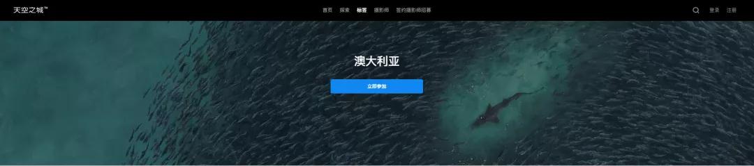 ppt4个神器,最简单的ppt神器