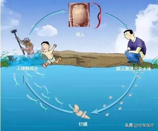 暴雨洪灾后怎么预防传染病,洪灾后如何远离传染病