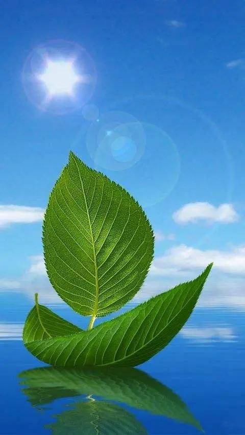 白岩松经典语录昨天比今天好 (白岩松经典语录最难的事终会过去)