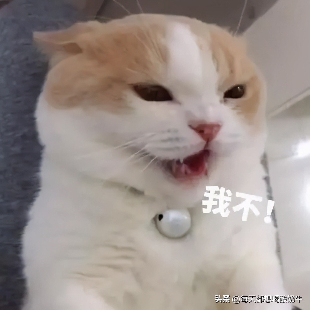 适合夏季用的清爽型爽肤水,夏天到了有什么好用的爽肤水推荐