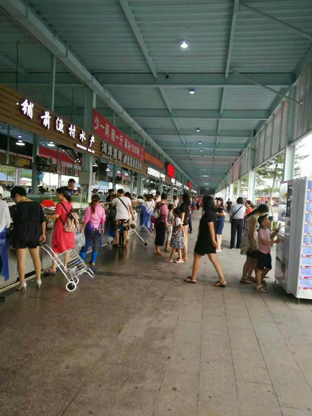 一家人海口旅游攻略,海口一家三口哪里好玩