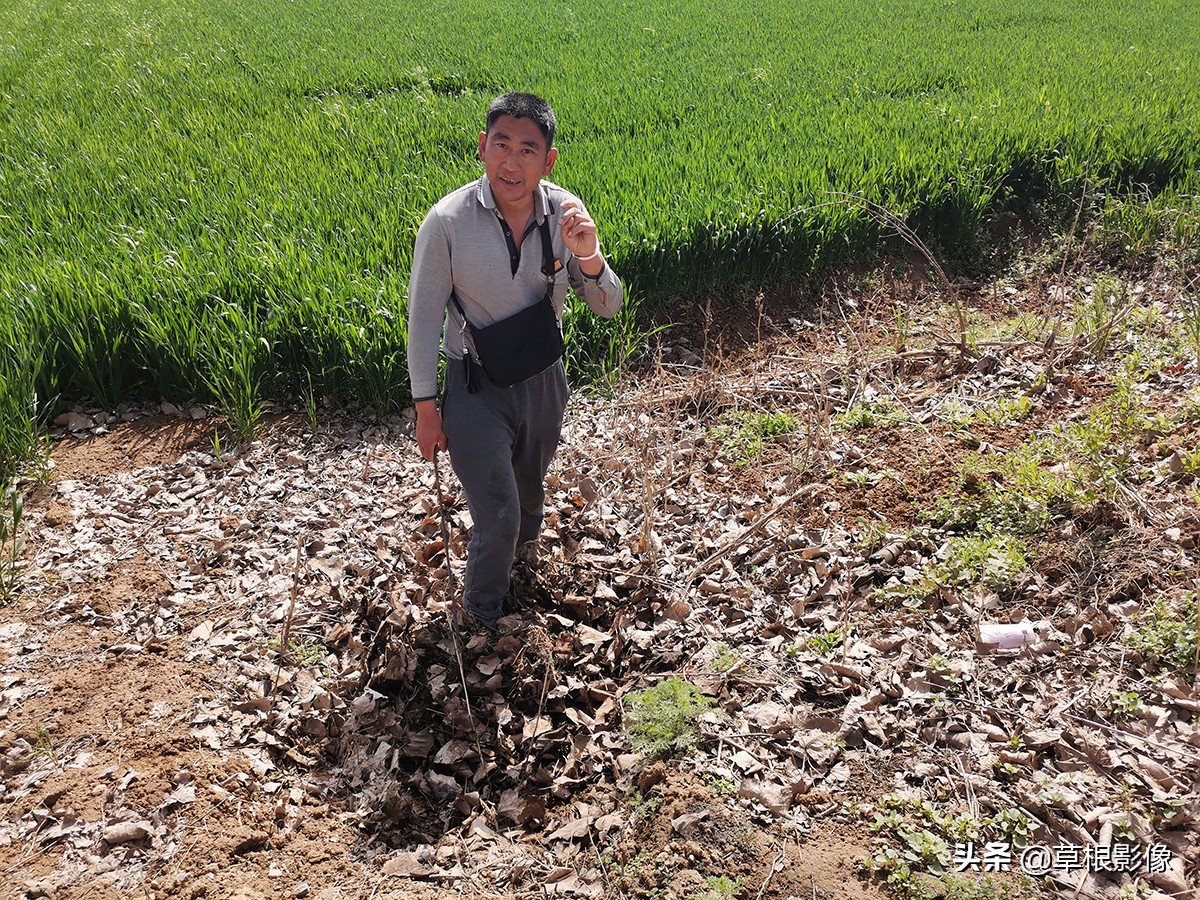 农村大叔挖古董,农村老大爷寻宝