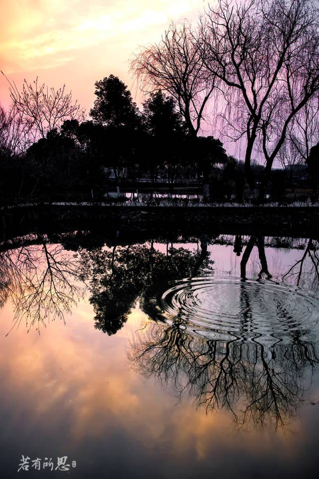 游走在沙家浜湿地公园,沙家浜风景区湿地渔乐园