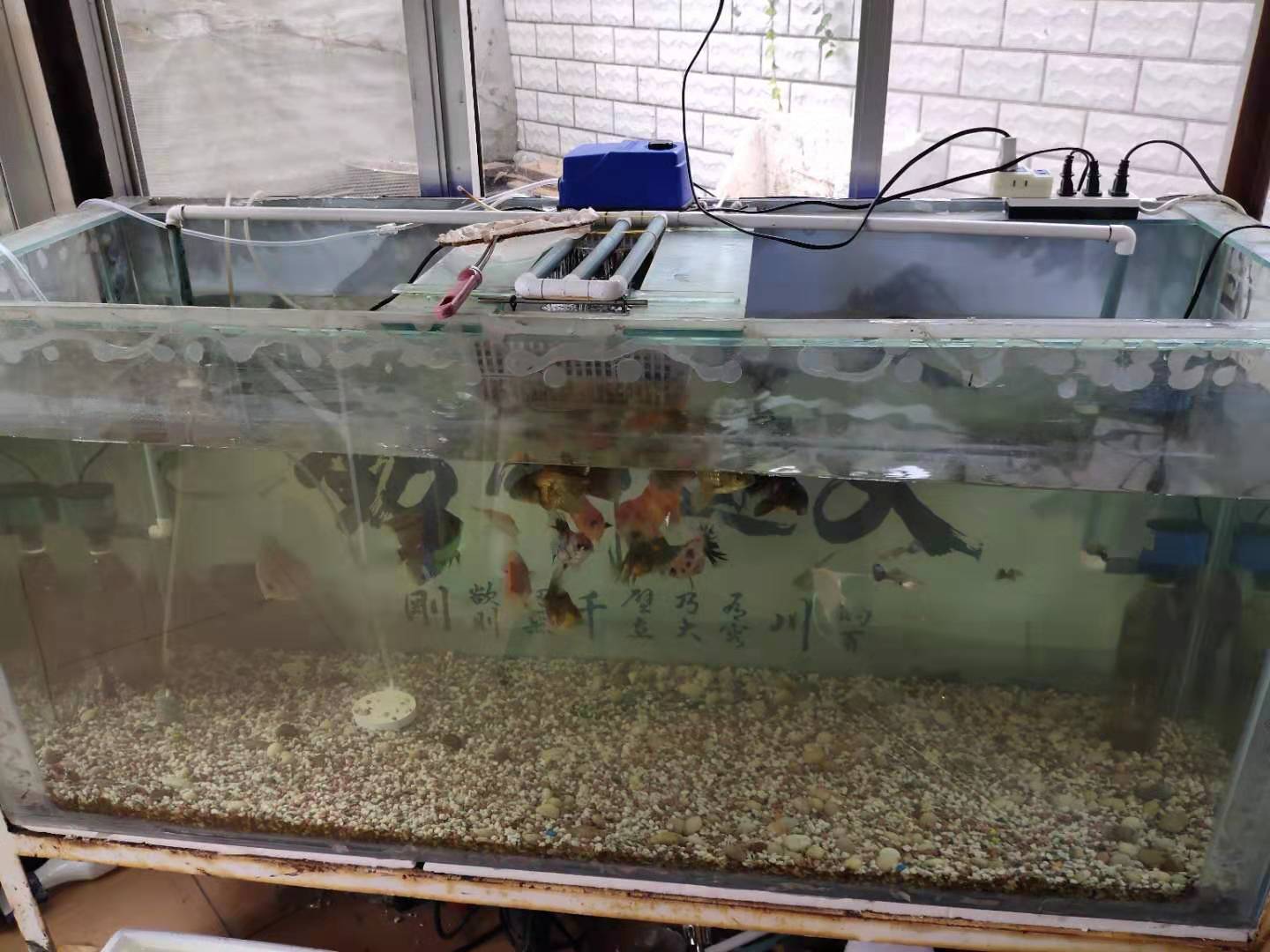 玻璃鱼缸漏水最简单的修补方法,鱼缸过滤网漏水冲击水面怎么回事