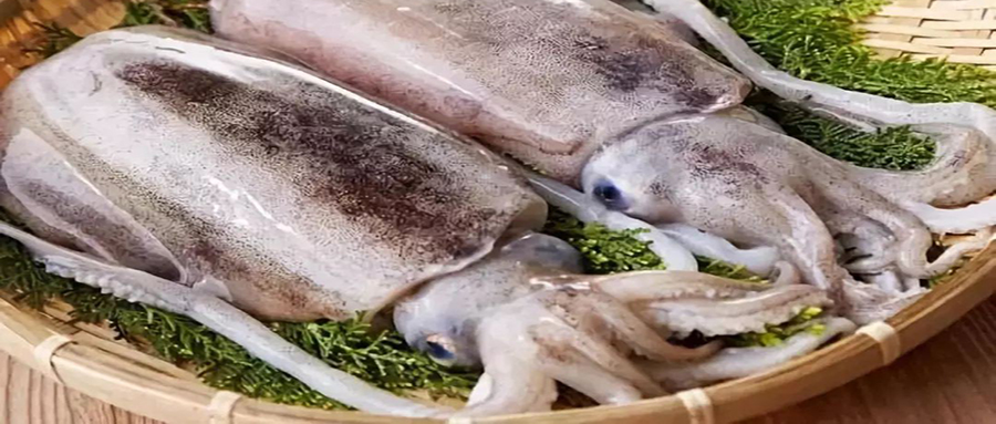 孕妇吃哪三种鱼对胎儿发育最好,什么鱼孕妇吃了对胎儿发育好