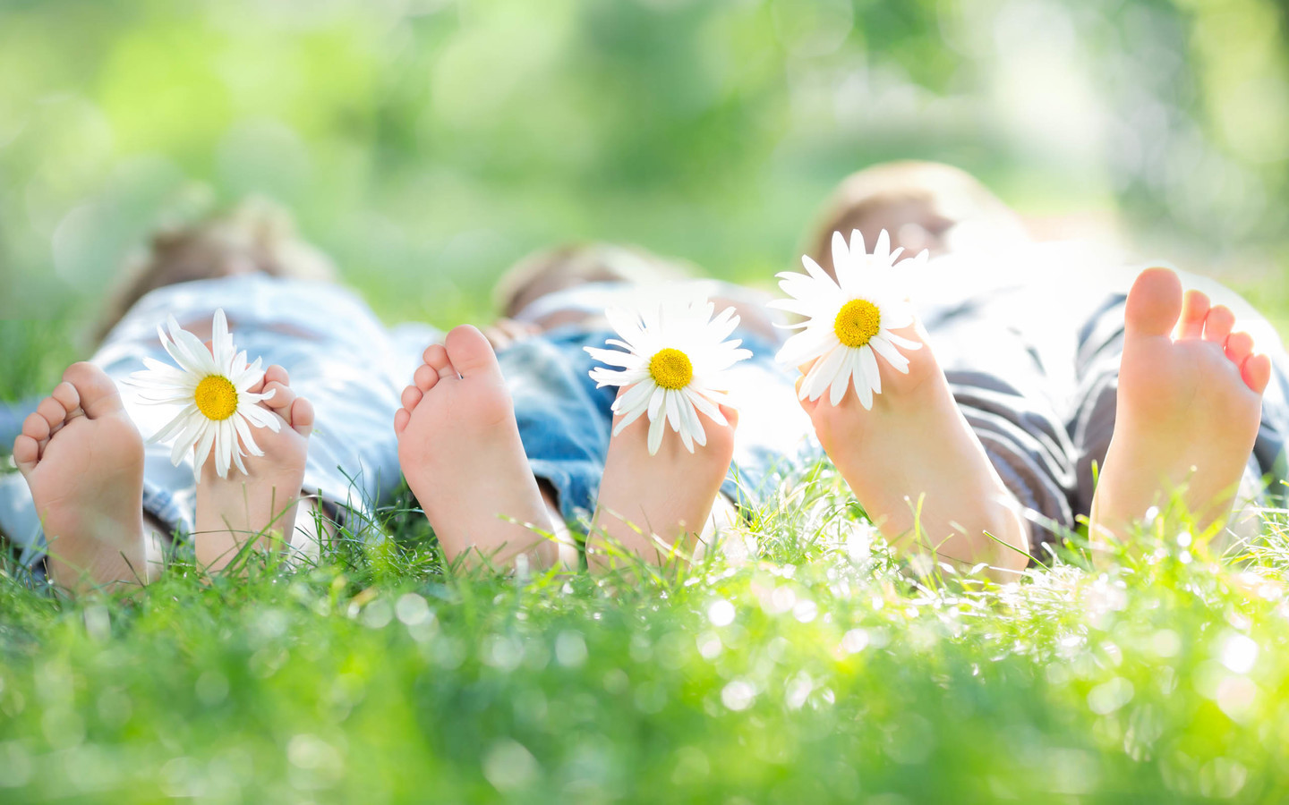 怎么帮孩子做到每天总结和复盘,带领孩子暑假规划复盘