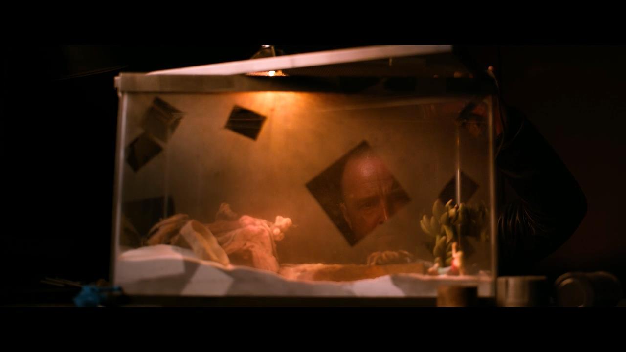 绝命毒师电影续命之徒时间线,续命之徒绝命毒师电影解读