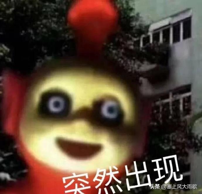 最新笑料合集，哈哈哈哈哈哈哈哈哈哈哈奇怪的知识又增加了