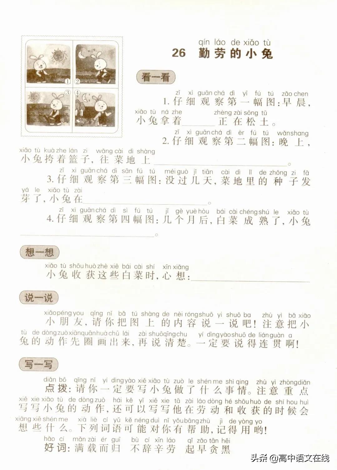 小学必考看图写话最全万能公式,看图写话作文评语模板