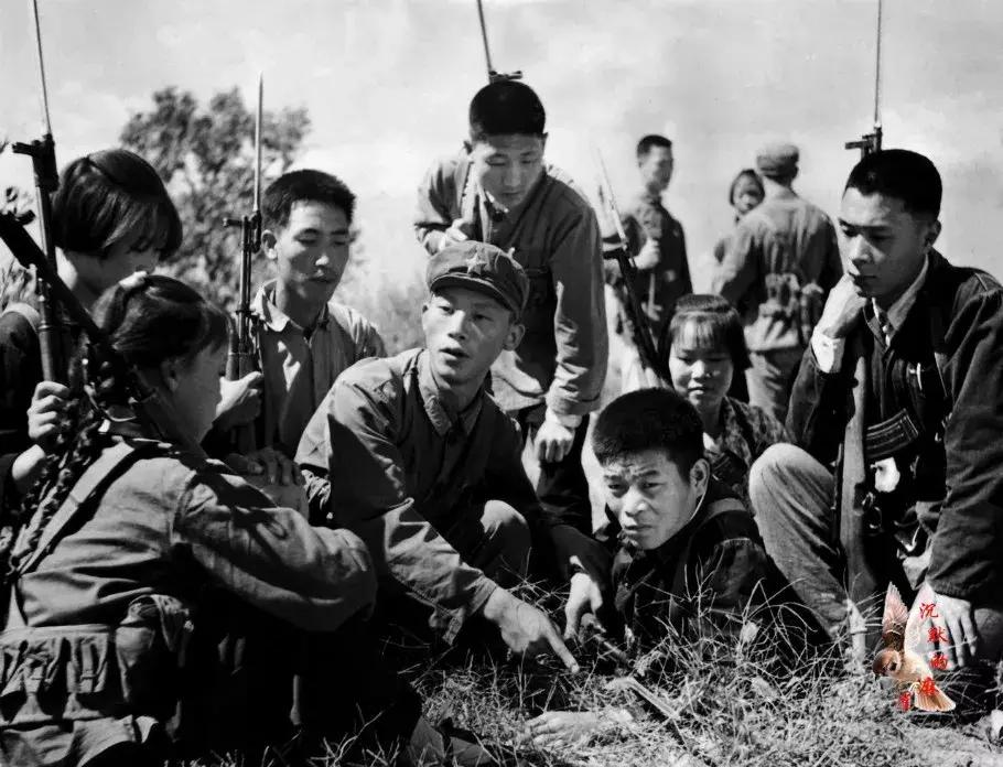 国产新型步枪深度解析,设计最成功枪械