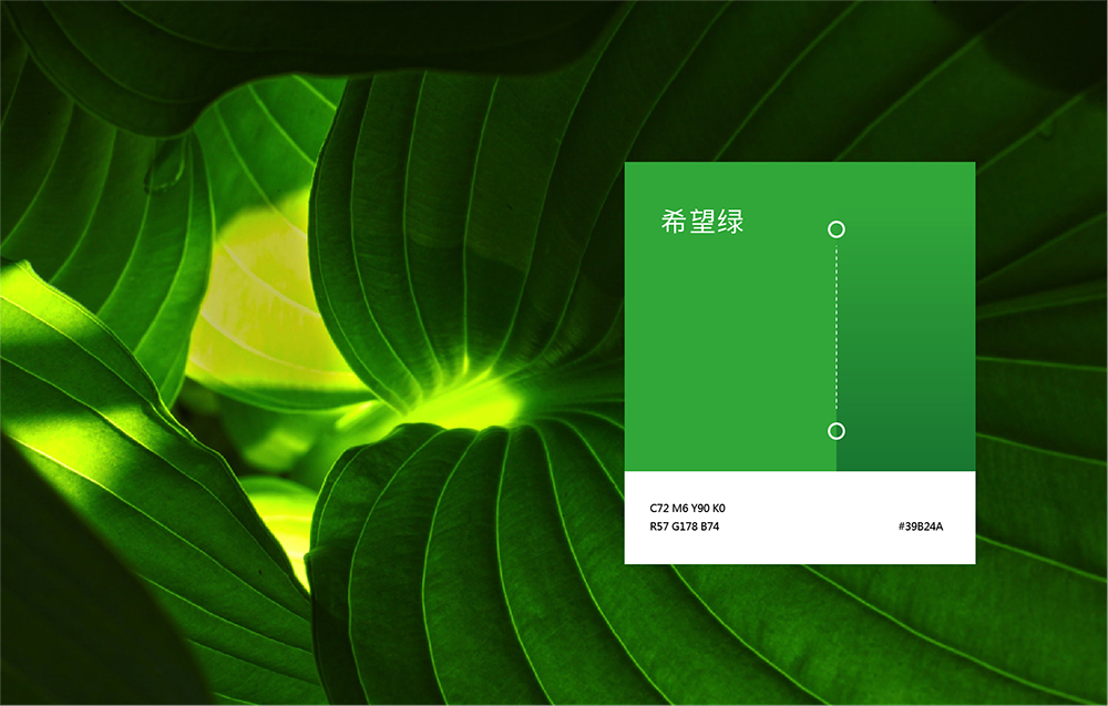 中国特许加盟网官网,中国特许加盟网官网联系电话