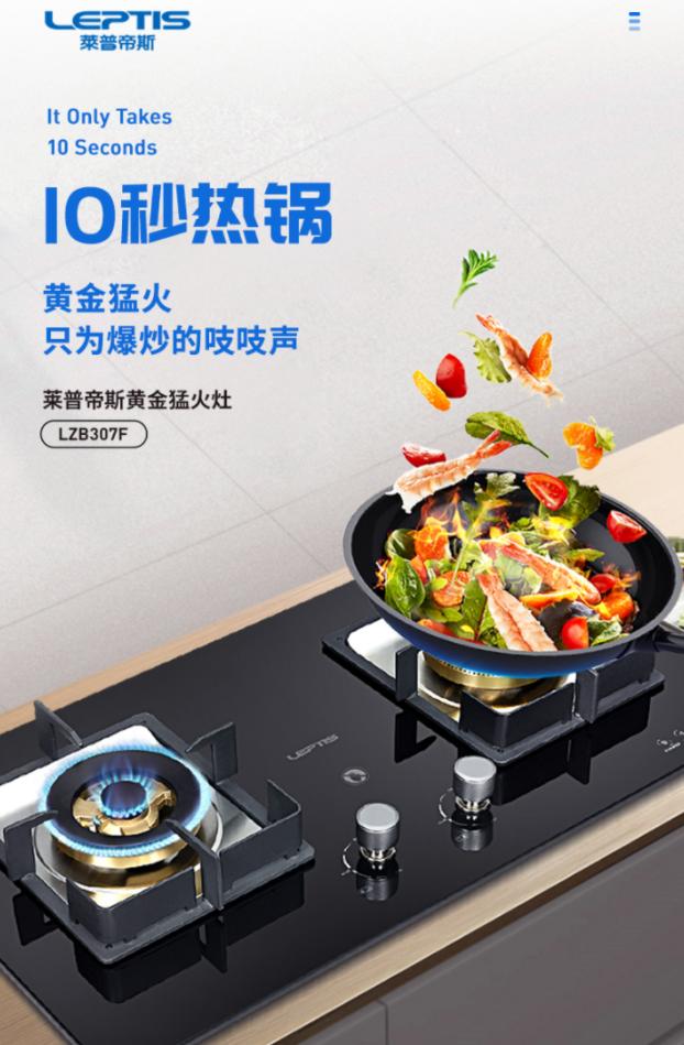 莱普帝斯燃气灶不沾油污款,莱普帝斯燃气灶
