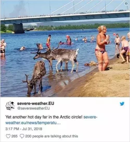 地球5年后的大灾难,地球病了会好起来吗