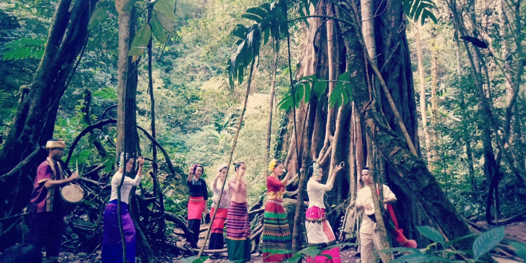 热带雨林犯罪,热带雨林案件最新结果