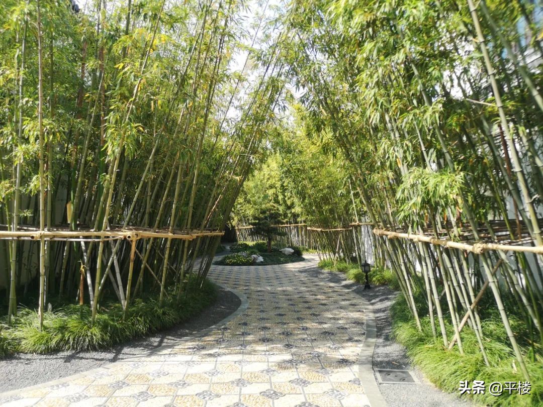 苏州木渎桃花源10亿一套,苏州桃花源整体分析