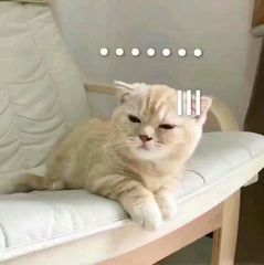 微信压缩文件怎么在电脑上打开,微信里的压缩文件可以直接用