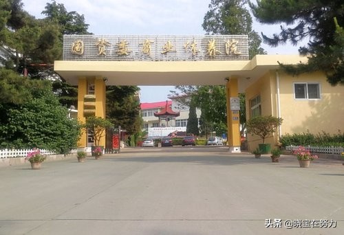 秦皇岛市十大高档酒店,秦皇岛市四星级酒店有哪些