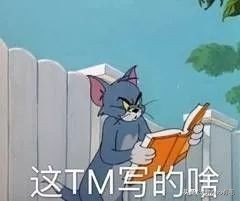 养猫就是抓老鼠吗,还有多少人养猫是为了抓老鼠的