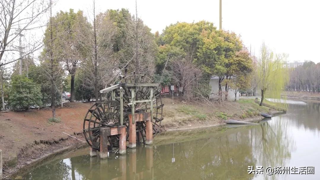 2元花盆批发,2元左右的花盆