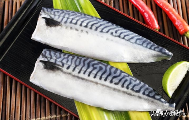 青花鱼跟鲐鲅鱼,青花鱼和鲐鲅鱼的区别