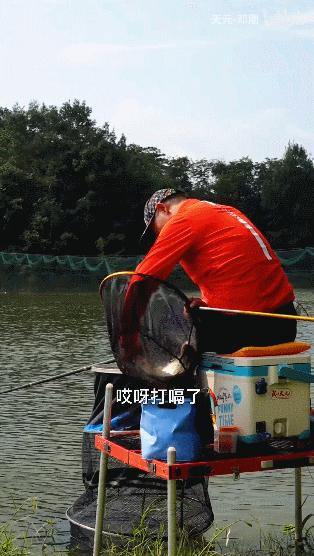 为什么你如此痴迷钓鱼游戏,为什么喜欢沉迷钓鱼游戏