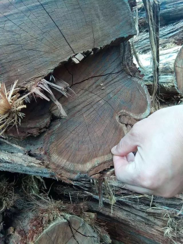 科普实木家具,科普木材