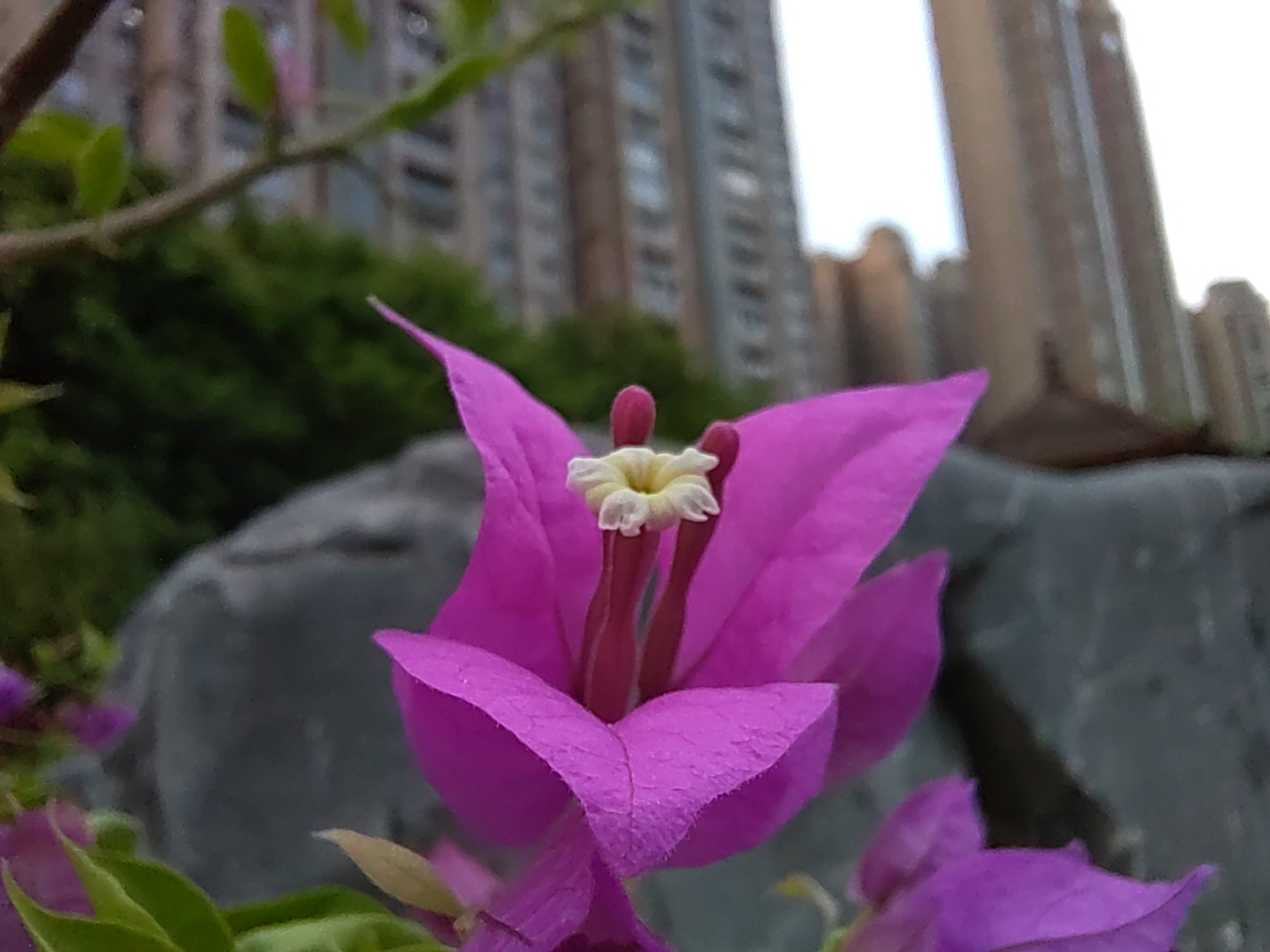 nova9pro和hinova9pro,华为nova9pro快速上手