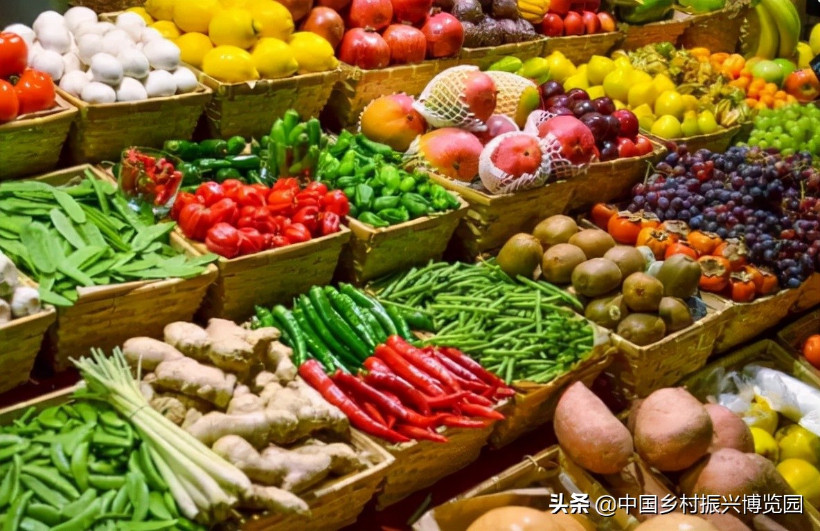 乡村振兴产业方面存在的问题,乡村数字化建设赋能产业振兴