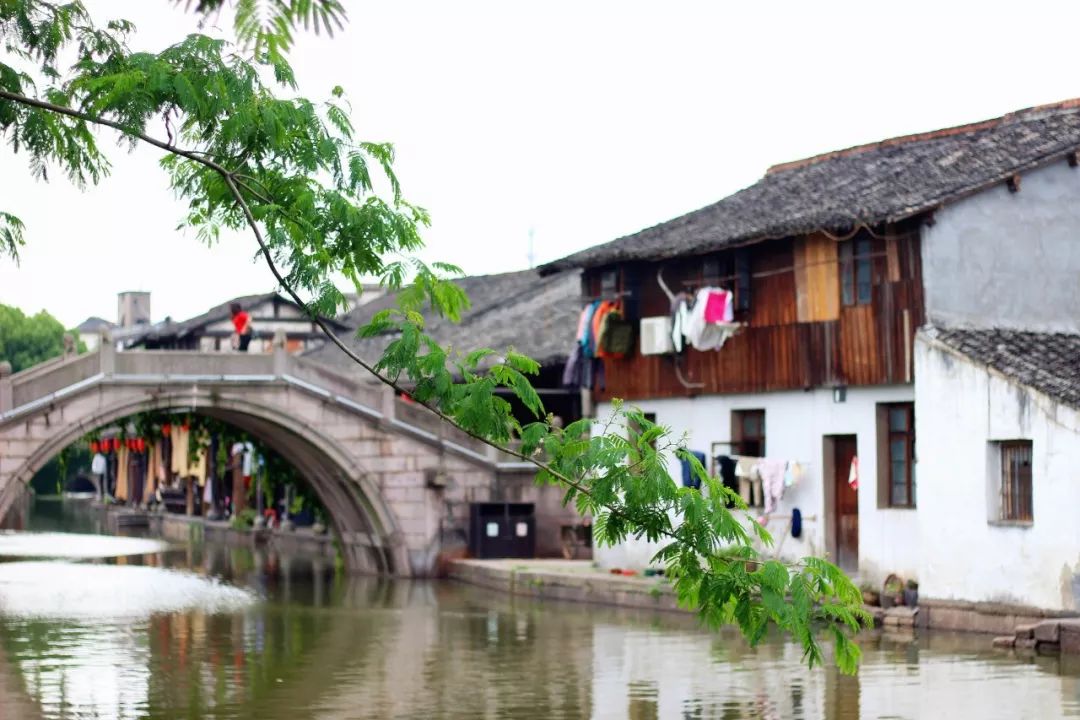 50句经典宋诗名句一定要读一次,带富字的七言宋诗名句