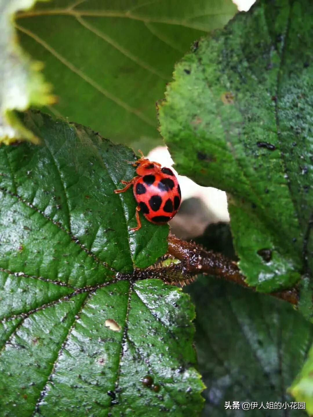 耀州土桥村，我想偷点时光给自己……