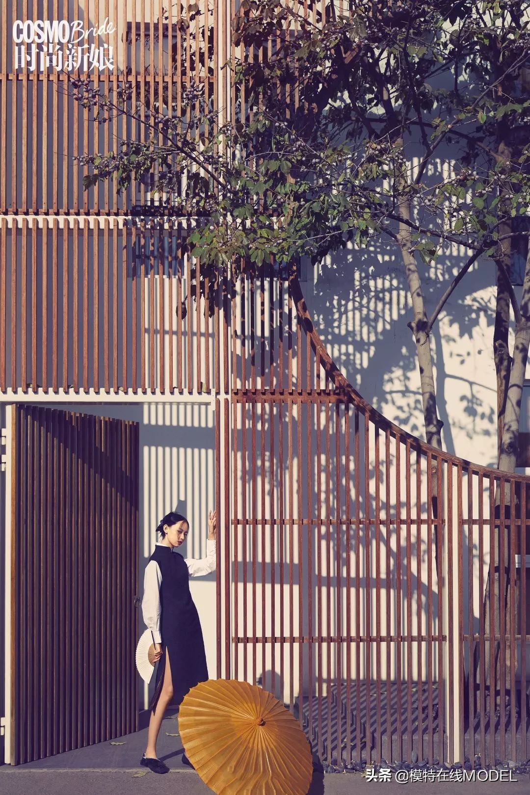 时装模特标准,服装模特应具备哪些条件